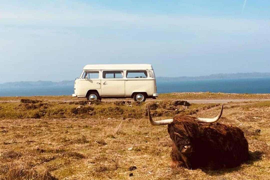 , Harley – Dog Friendly VW Campervan Hire