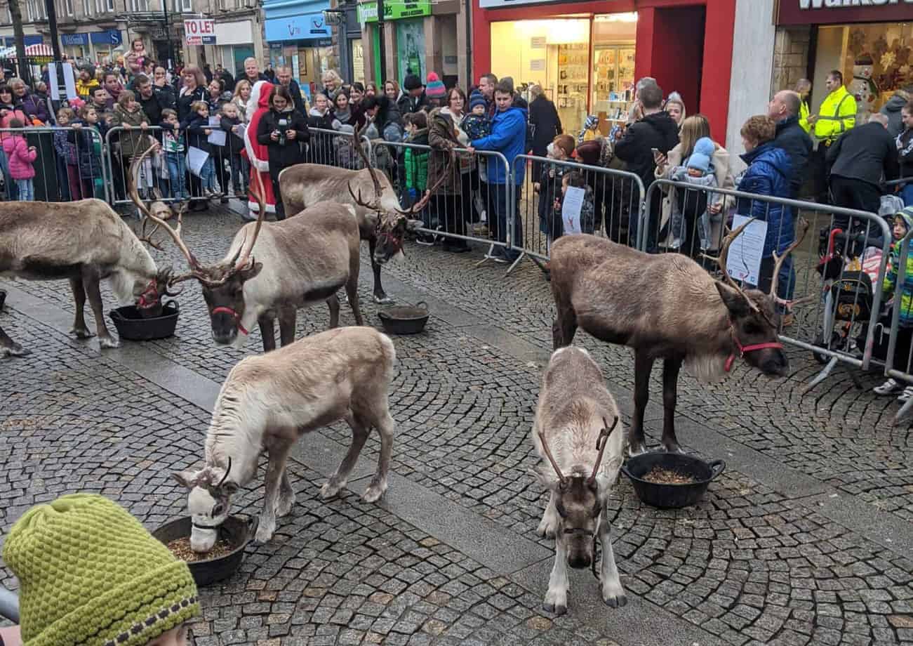 , Elgin’s Christmas Light Switch On