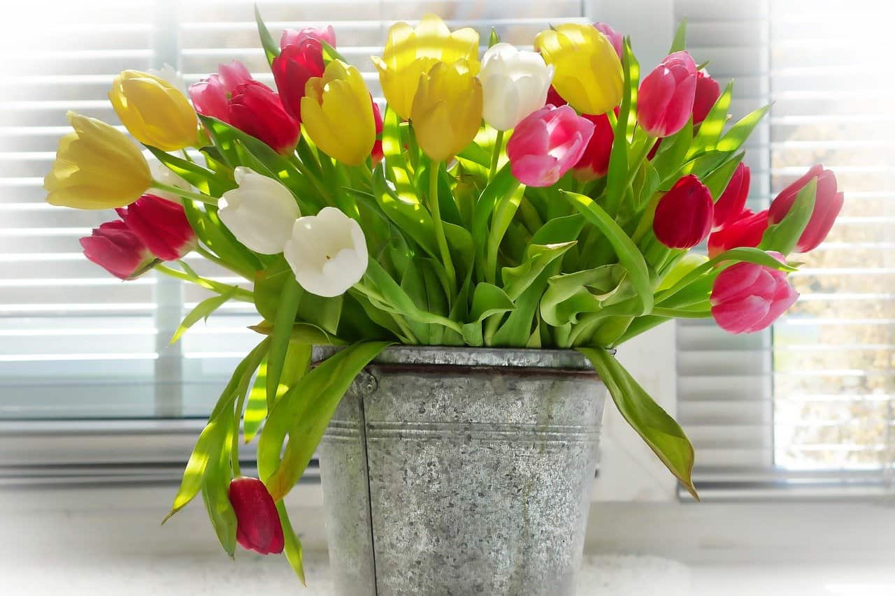 , Mother’s Day on the NE250
