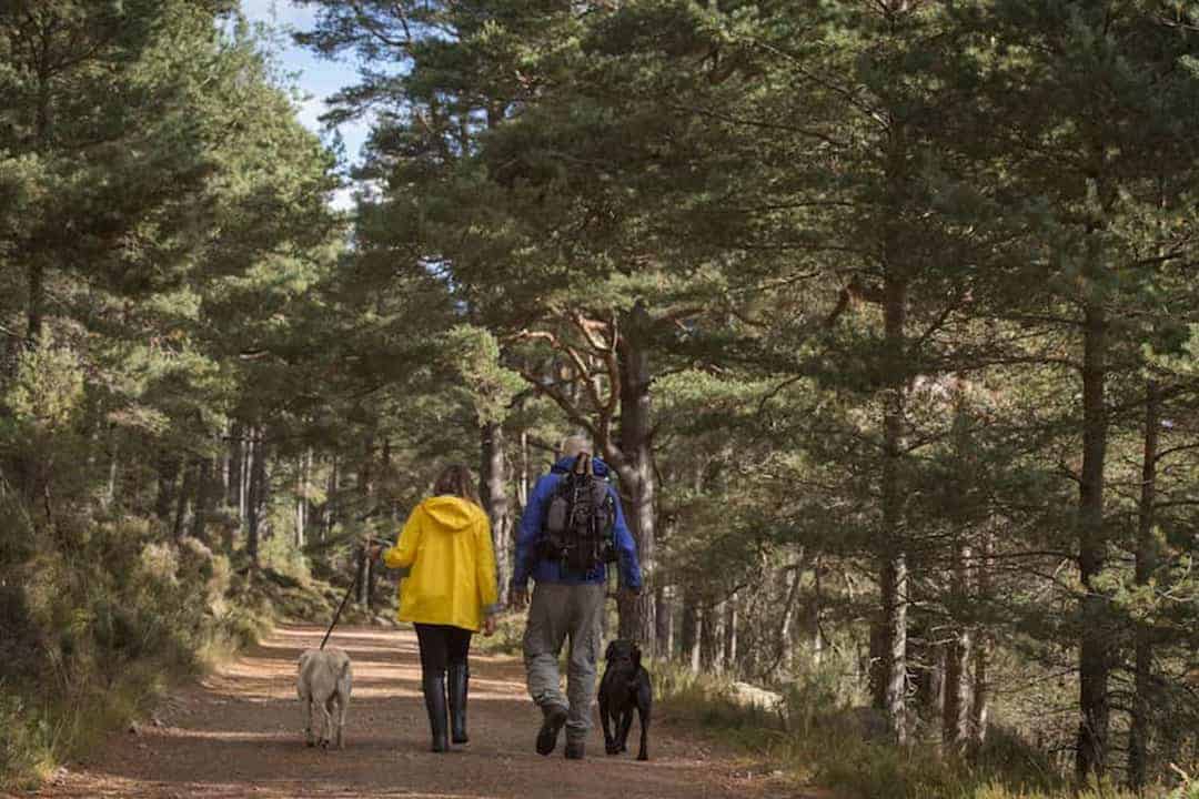 , Outdoor & Adventure on the NE250